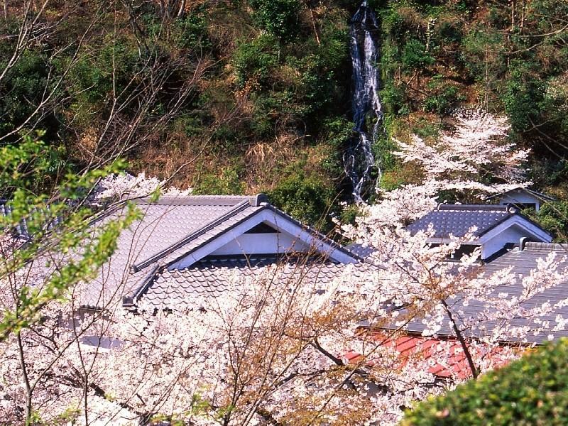 Motoyu Ryokan Atsugi Exterior photo