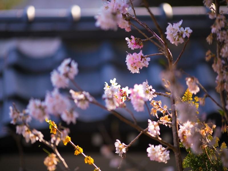 Motoyu Ryokan Atsugi Exterior photo