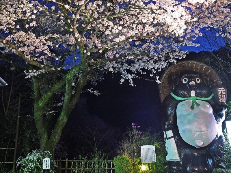 Motoyu Ryokan Atsugi Exterior photo